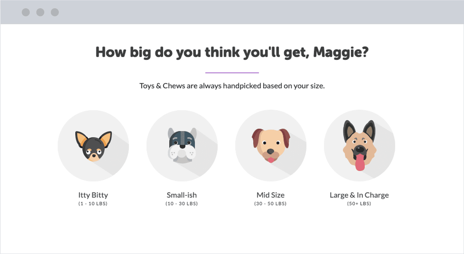 PupBox puppy profile screen